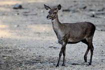 Boutissain D850 20-09-22 0998   Photos ACG 2020