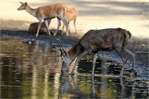 Boutissain D850 20-09-22 1002   Photos ACG 2020