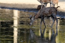 Boutissain D850 20-09-22 1006   Photos ACG 2020