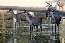 Boutissain D850 20-09-22 1019   Photos ACG 2020