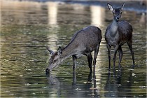 Boutissain D850 20-09-22 1029  01  Photos ACG 2020