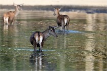 Boutissain D850 20-09-22 1047   Photos ACG 2020