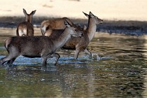 Boutissain D850 20-09-22 1064   Photos ACG 2020