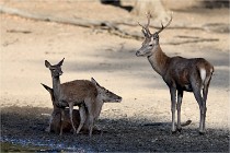 Boutissain D850 20-09-22 1069   Photos ACG 2020