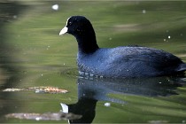 Grouchy D500 21-04-21 257   Photos ACG 2021