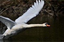 Grouchy D850 21-04-27 057   Photos ACG 2021