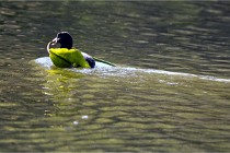 Grouchy D850 21-04-27 087   Photos ACG 2021