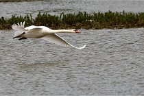 Grand Lavier  D500 21-05-12 395  NI  Photos ACG 2021