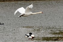 Grand Lavier  D500 21-05-12 399  NI  Photos ACG 2021