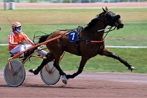 D6 Mauquenchy 21-06-24 072  01  Photo ACG