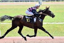 D6 Mauquenchy 21-06-24 129   Photo ACG