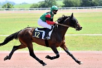 D6 Mauquenchy 21-06-24 133   Photo ACG