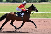 D6 Mauquenchy 21-06-24 152   Photo ACG