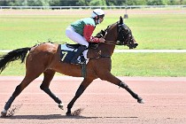 D6 Mauquenchy 21-06-24 160   Photo ACG