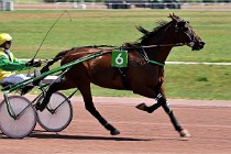 D6 Mauquenchy 21-06-24 163   Photo ACG