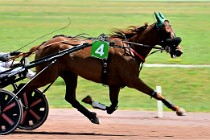 D6 Mauquenchy 21-06-24 324   Photo ACG