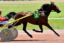 D6 Mauquenchy 21-06-24 330   Photo ACG