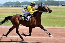 D6 Mauquenchy 21-06-24 341   Photo ACG