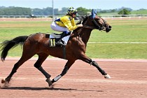 D6 Mauquenchy 21-06-24 344   Photo ACG