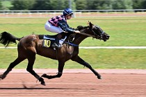 D6 Mauquenchy 21-06-24 363   Photo ACG