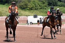 D6 Mauquenchy 21-06-24 372   Photo ACG