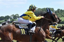 D6 Mauquenchy 21-06-24 384   Photo ACG