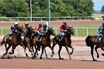 D6 Mauquenchy 21-06-24 386   Photo ACG