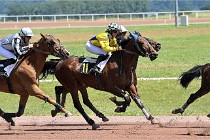 D6 Mauquenchy 21-06-24 404   Photo ACG