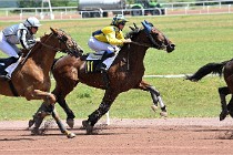 D6 Mauquenchy 21-06-24 409   Photo ACG