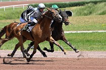 D6 Mauquenchy 21-06-24 426   Photo ACG