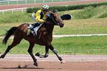 D6 Mauquenchy 21-06-24 439   Photo ACG