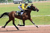 D6 Mauquenchy 21-06-24 448   Photo ACG