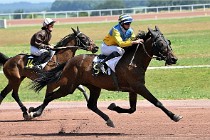 D6 Mauquenchy 21-06-24 464   Photo ACG