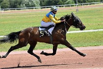 D6 Mauquenchy 21-06-24 477   Photo ACG