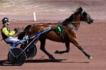 D6 Mauquenchy 21-06-24 708   Photo ACG