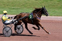 D6 Mauquenchy 21-06-24 720   Photo ACG