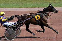 D6 Mauquenchy 21-06-24 812   Photo ACG