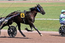 D6 Mauquenchy 21-06-24 883   Photo ACG