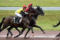 D6 Mauquenchy 21-08-02 181   Photo ACG