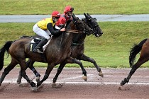 D6 Mauquenchy 21-08-02 182   Photo ACG