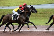 D6 Mauquenchy 21-08-02 183   Photo ACG