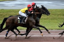 D6 Mauquenchy 21-08-02 184   Photo ACG