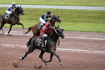 D6 Mauquenchy 21-08-02 187   Photo ACG