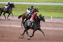 D6 Mauquenchy 21-08-02 188   Photo ACG