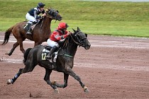 D6 Mauquenchy 21-08-02 189   Photo ACG