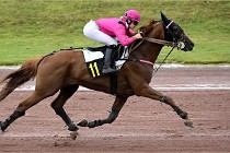 D6 Mauquenchy 21-08-02 203   Photo ACG