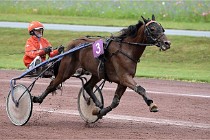 D6 Mauquenchy 21-08-02 229   Photo ACG