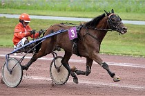 D6 Mauquenchy 21-08-02 231   Photo ACG