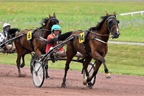 D6 Mauquenchy 21-08-02 289   Photo ACG