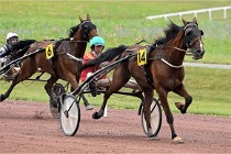 D6 Mauquenchy 21-08-02 291   Photo ACG